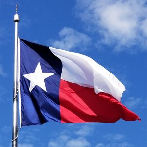 10'X15' Texas Flag | Nylon