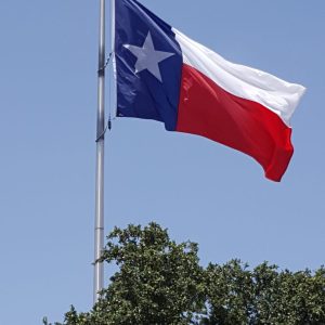 12'X18' Texas Flag | Nylon