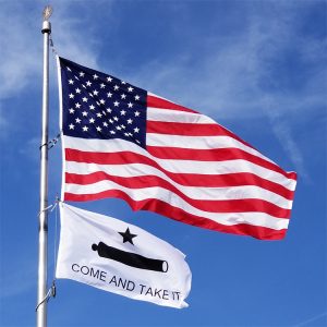 Come & Take It Flag | 5'X8'