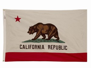 California State Flag | Indoor and Outdoor