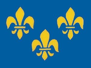 Fleur-De-Lis Flag | 3'X5' Nylon