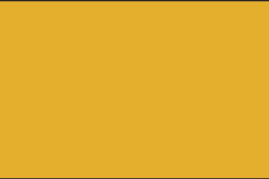 Gold Solid ECO Flag | 3'X5'