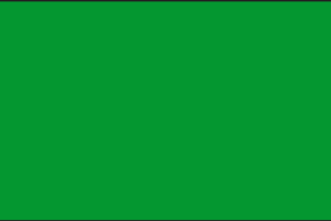 Green Solid ECO Flag | 3'X5'