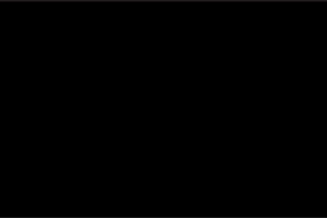 Black Solid ECO Flag | 3'X5'