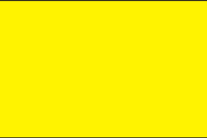 Yellow Solid POLY Flag | 3'X5'